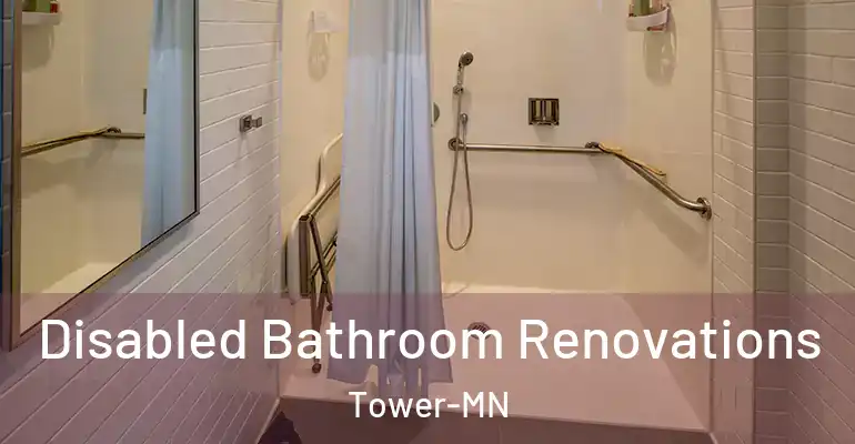 inner Bathroom imggen Disabled Bathroom Renovations Tower-MN