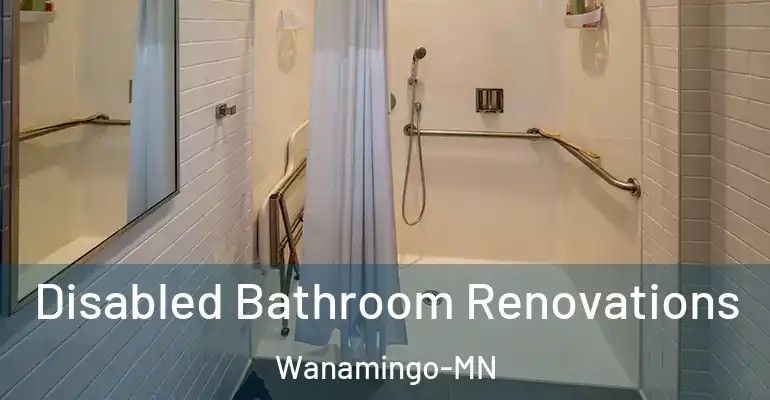 inner Bathroom imggen Disabled Bathroom Renovations Wanamingo-MN