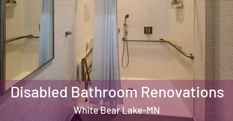 inner Bathroom imggen Disabled Bathroom Renovations White Bear Lake-MN