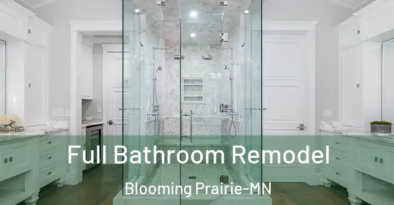 inner Bathroom imggen Full Bathroom Remodel Blooming Prairie-MN