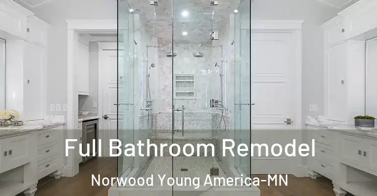 inner Bathroom imggen Full Bathroom Remodel Norwood Young America-MN