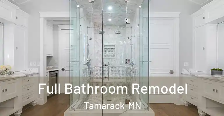 inner Bathroom imggen Full Bathroom Remodel Tamarack-MN