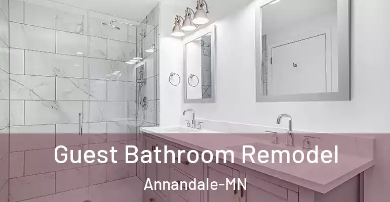 inner Bathroom imggen Guest Bathroom Remodel Annandale-MN
