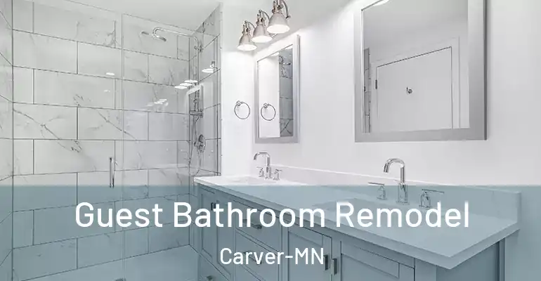 inner Bathroom imggen Guest Bathroom Remodel Carver-MN