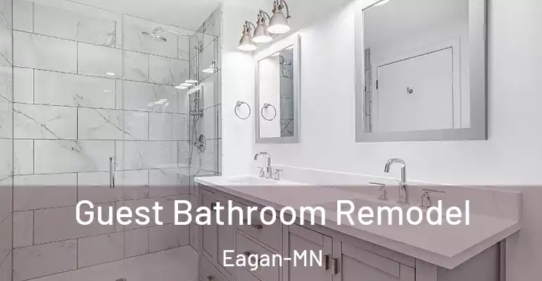 inner Bathroom imggen Guest Bathroom Remodel Eagan-MN