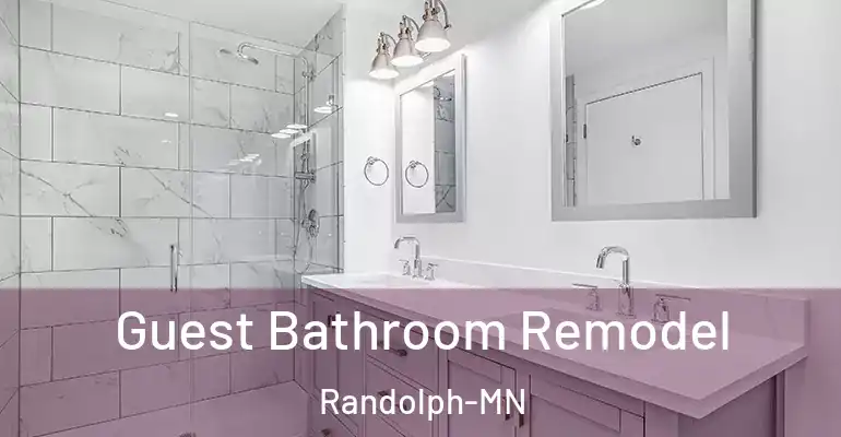 inner Bathroom imggen Guest Bathroom Remodel Randolph-MN
