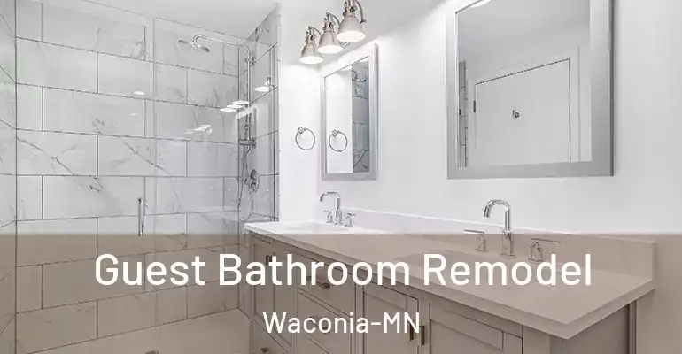 inner Bathroom imggen Guest Bathroom Remodel Waconia-MN