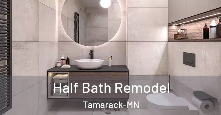 inner Bathroom imggen Half Bath Remodel Tamarack-MN