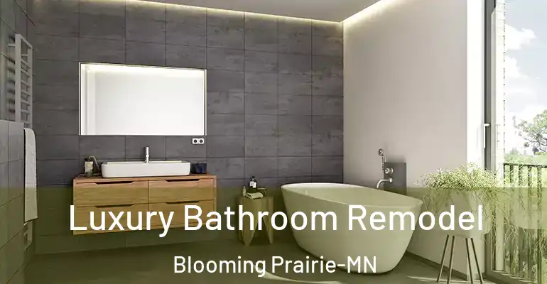 inner Bathroom imggen Luxury Bathroom Remodel Blooming Prairie-MN