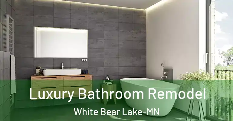 inner Bathroom imggen Luxury Bathroom Remodel White Bear Lake-MN