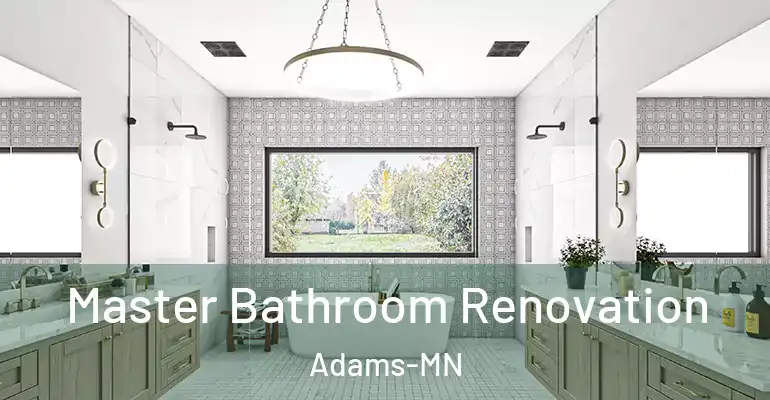 inner Bathroom imggen Master Bathroom Renovation Adams-MN