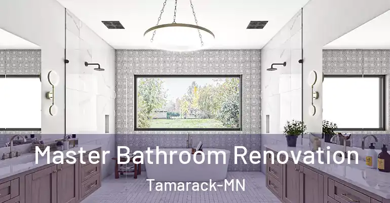 inner Bathroom imggen Master Bathroom Renovation Tamarack-MN
