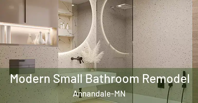 inner Bathroom imggen Modern Small Bathroom Remodel Annandale-MN