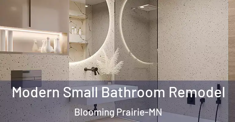 inner Bathroom imggen Modern Small Bathroom Remodel Blooming Prairie-MN