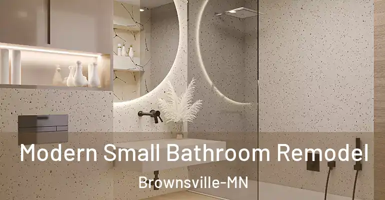 inner Bathroom imggen Modern Small Bathroom Remodel Brownsville-MN