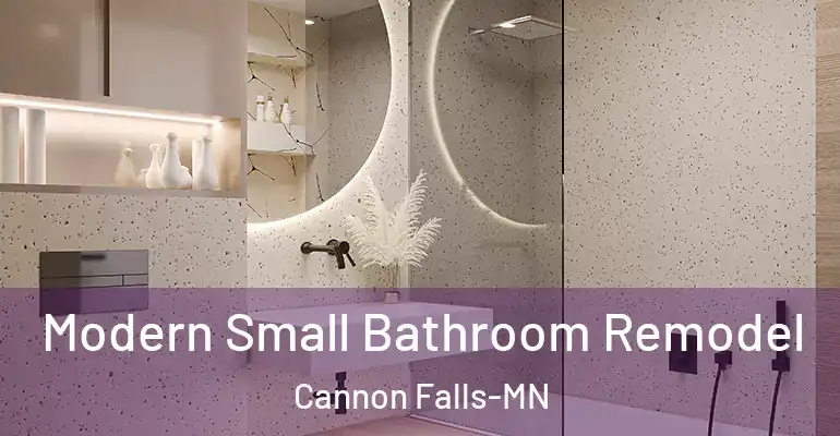 inner Bathroom imggen Modern Small Bathroom Remodel Cannon Falls-MN