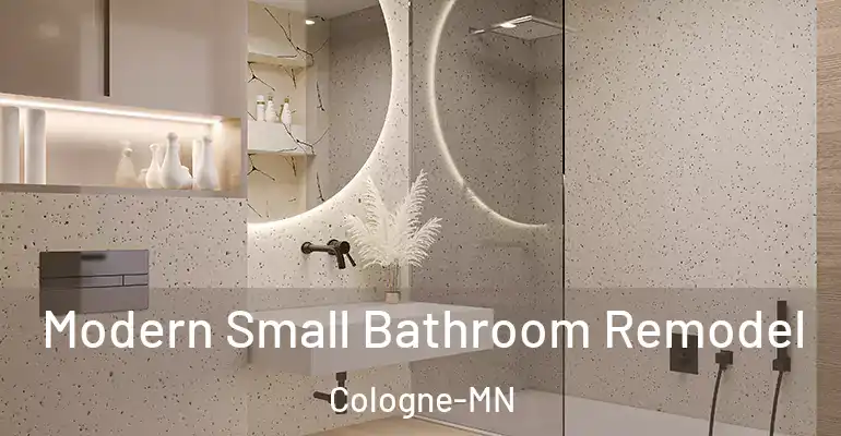 inner Bathroom imggen Modern Small Bathroom Remodel Cologne-MN