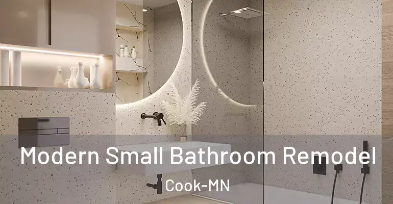 inner Bathroom imggen Modern Small Bathroom Remodel Cook-MN
