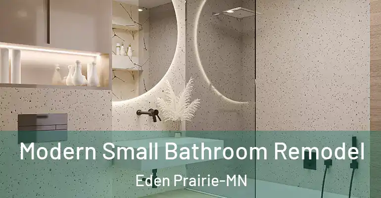 inner Bathroom imggen Modern Small Bathroom Remodel Eden Prairie-MN