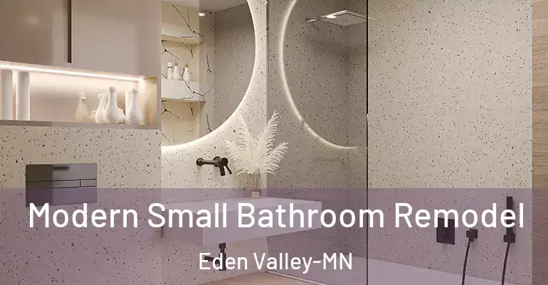 inner Bathroom imggen Modern Small Bathroom Remodel Eden Valley-MN