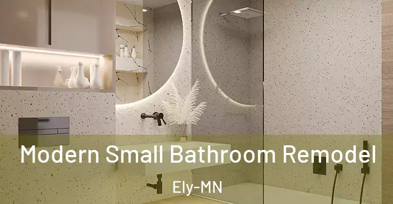 inner Bathroom imggen Modern Small Bathroom Remodel Ely-MN