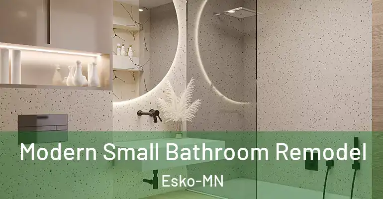 inner Bathroom imggen Modern Small Bathroom Remodel Esko-MN
