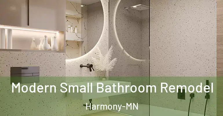 inner Bathroom imggen Modern Small Bathroom Remodel Harmony-MN