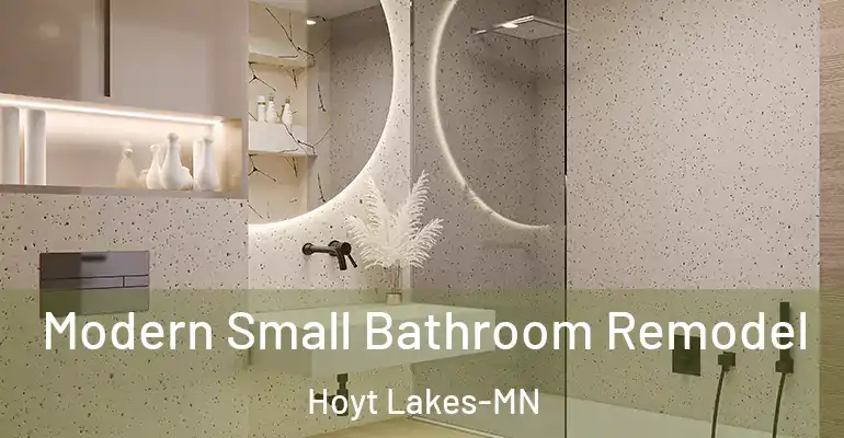 inner Bathroom imggen Modern Small Bathroom Remodel Hoyt Lakes-MN