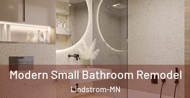 inner Bathroom imggen Modern Small Bathroom Remodel Lindstrom-MN