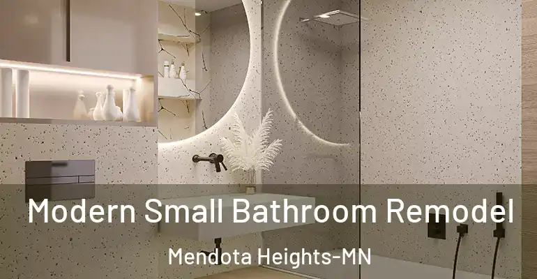 inner Bathroom imggen Modern Small Bathroom Remodel Mendota Heights-MN