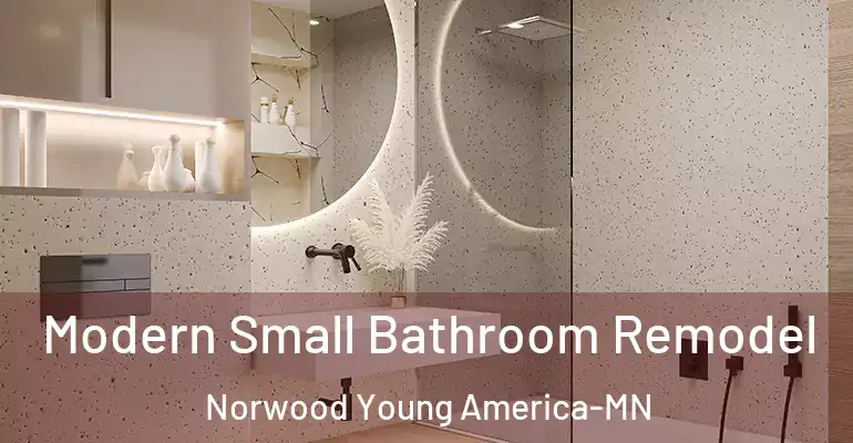 inner Bathroom imggen Modern Small Bathroom Remodel Norwood Young America-MN