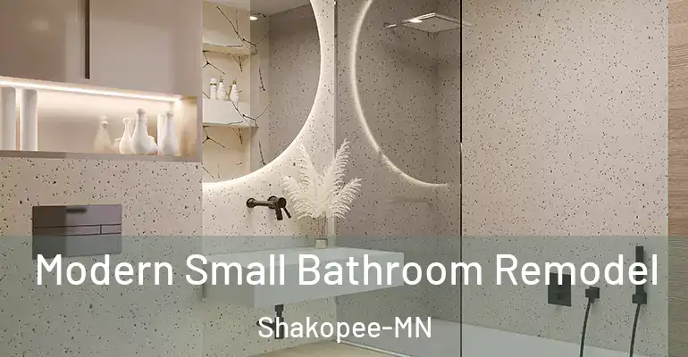 inner Bathroom imggen Modern Small Bathroom Remodel Shakopee-MN