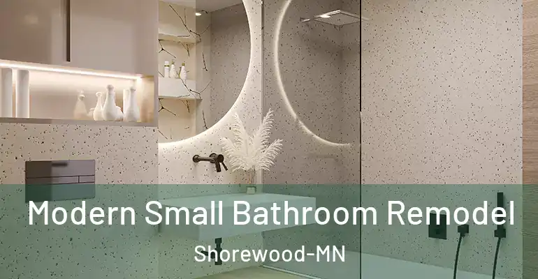 inner Bathroom imggen Modern Small Bathroom Remodel Shorewood-MN