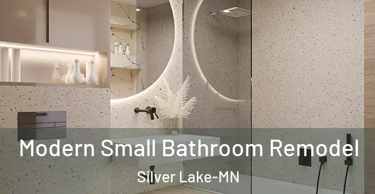 inner Bathroom imggen Modern Small Bathroom Remodel Silver Lake-MN