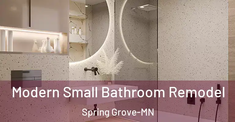 inner Bathroom imggen Modern Small Bathroom Remodel Spring Grove-MN