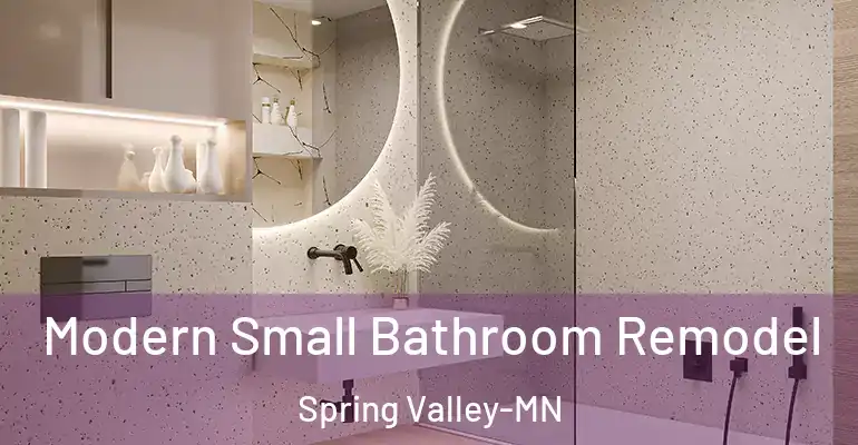 inner Bathroom imggen Modern Small Bathroom Remodel Spring Valley-MN