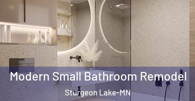 inner Bathroom imggen Modern Small Bathroom Remodel Sturgeon Lake-MN