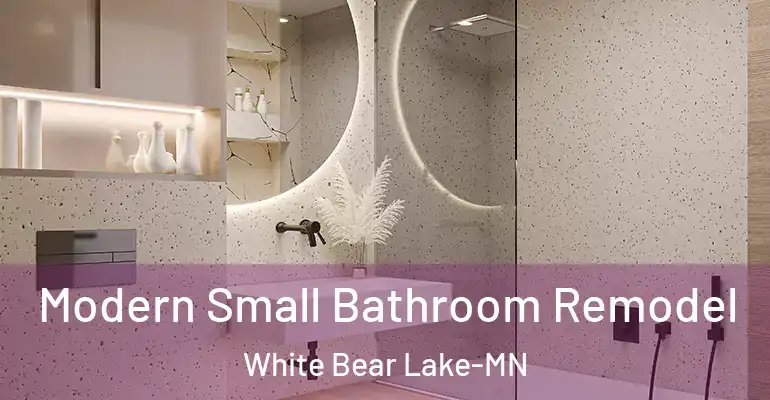 inner Bathroom imggen Modern Small Bathroom Remodel White Bear Lake-MN