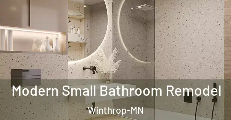 inner Bathroom imggen Modern Small Bathroom Remodel Winthrop-MN