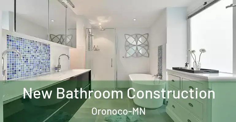 inner Bathroom imggen New Bathroom Construction Oronoco-MN