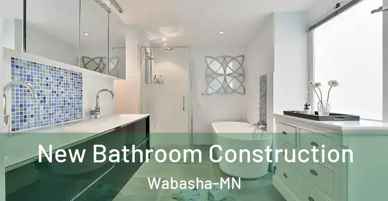 inner Bathroom imggen New Bathroom Construction Wabasha-MN