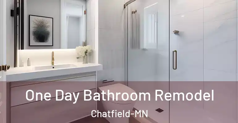 inner Bathroom imggen One Day Bathroom Remodel Chatfield-MN