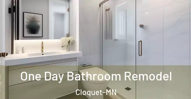 inner Bathroom imggen One Day Bathroom Remodel Cloquet-MN