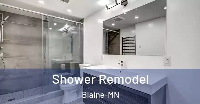 inner Bathroom imggen Shower Remodel Blaine-MN