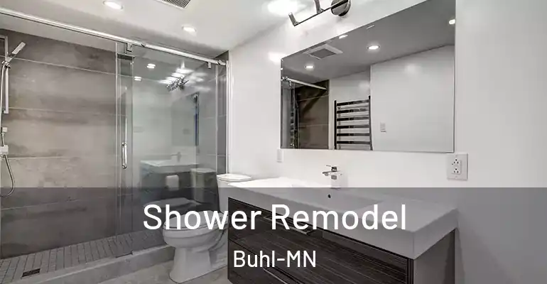 inner Bathroom imggen Shower Remodel Buhl-MN
