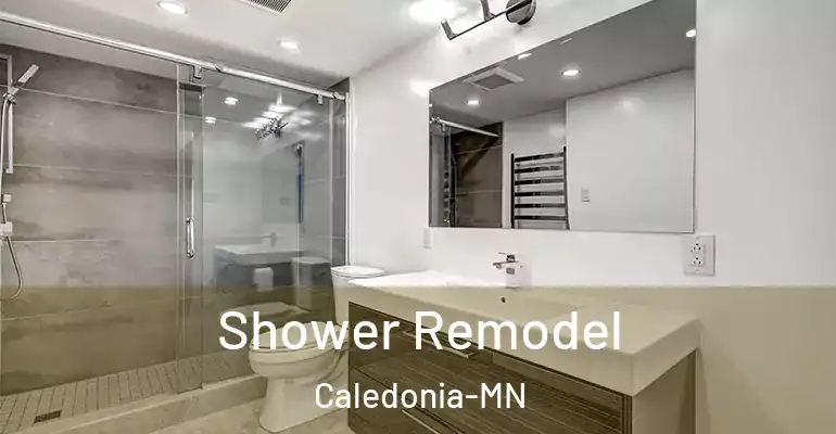 inner Bathroom imggen Shower Remodel Caledonia-MN