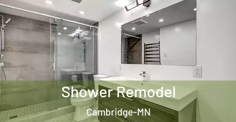 inner Bathroom imggen Shower Remodel Cambridge-MN