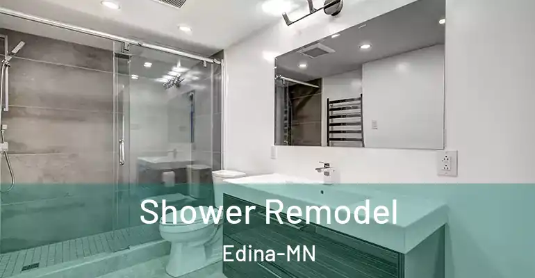 inner Bathroom imggen Shower Remodel Edina-MN