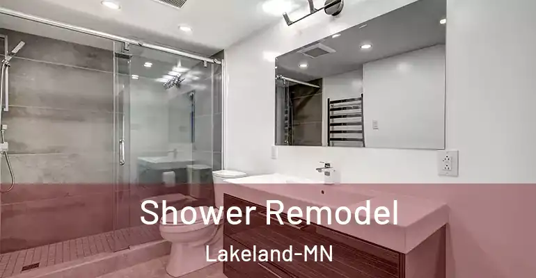 inner Bathroom imggen Shower Remodel Lakeland-MN