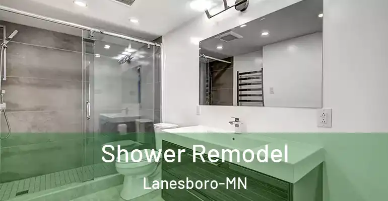 inner Bathroom imggen Shower Remodel Lanesboro-MN